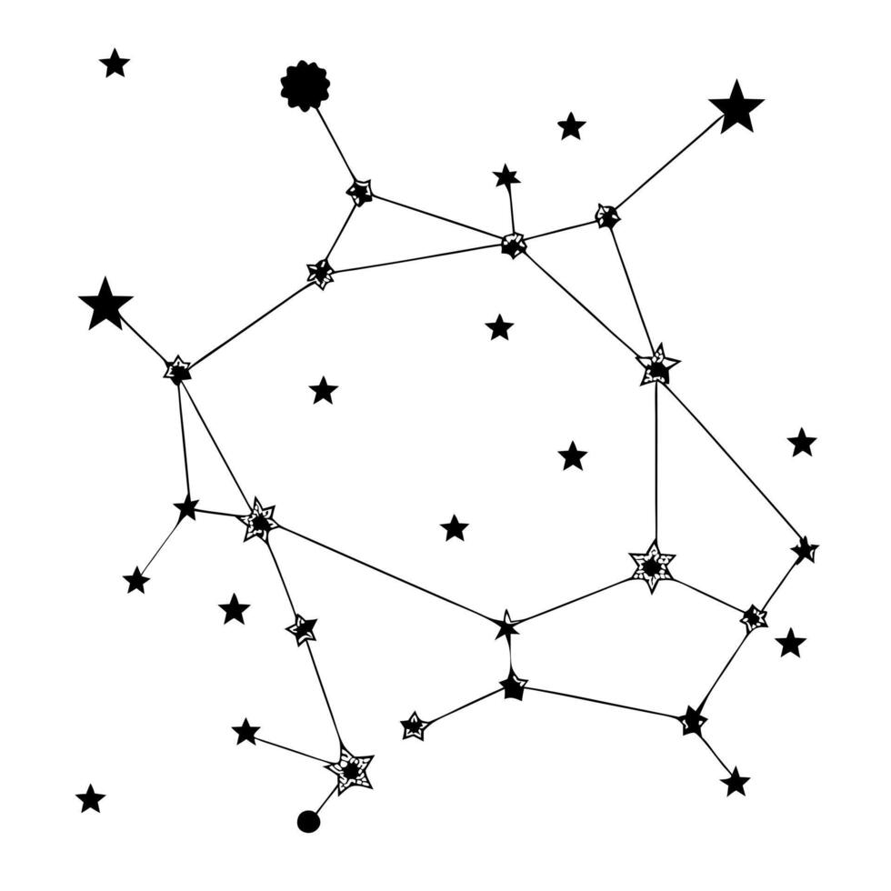 constellation, illustration line art vector