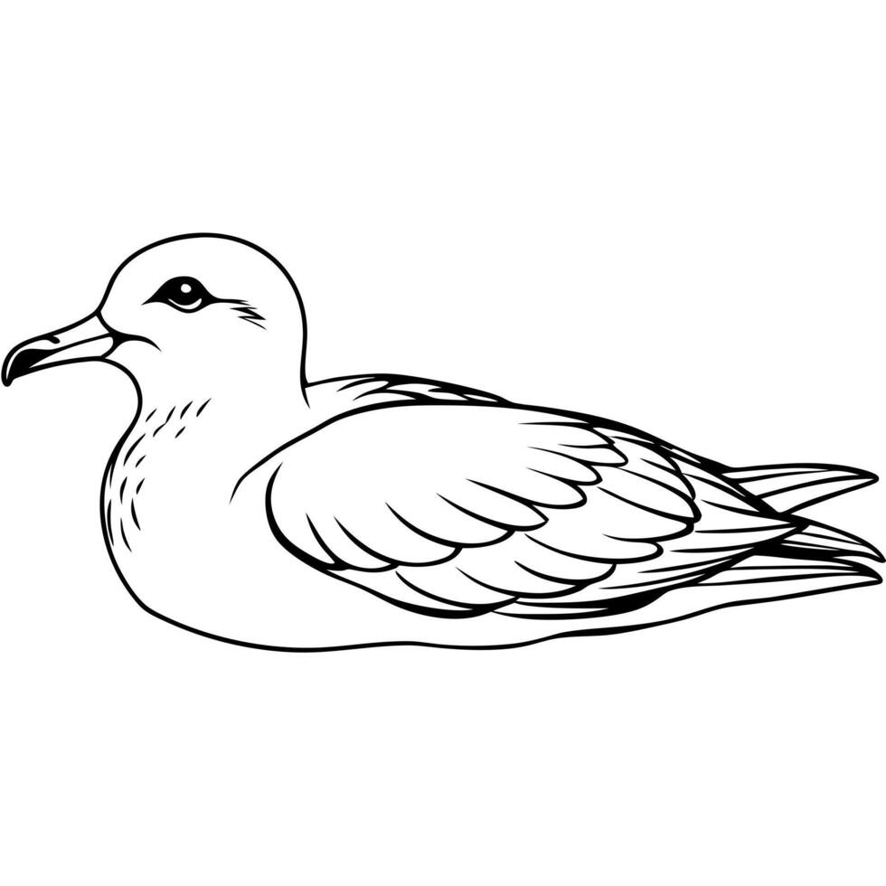a shearwater bird is lying down, illustration line art vector