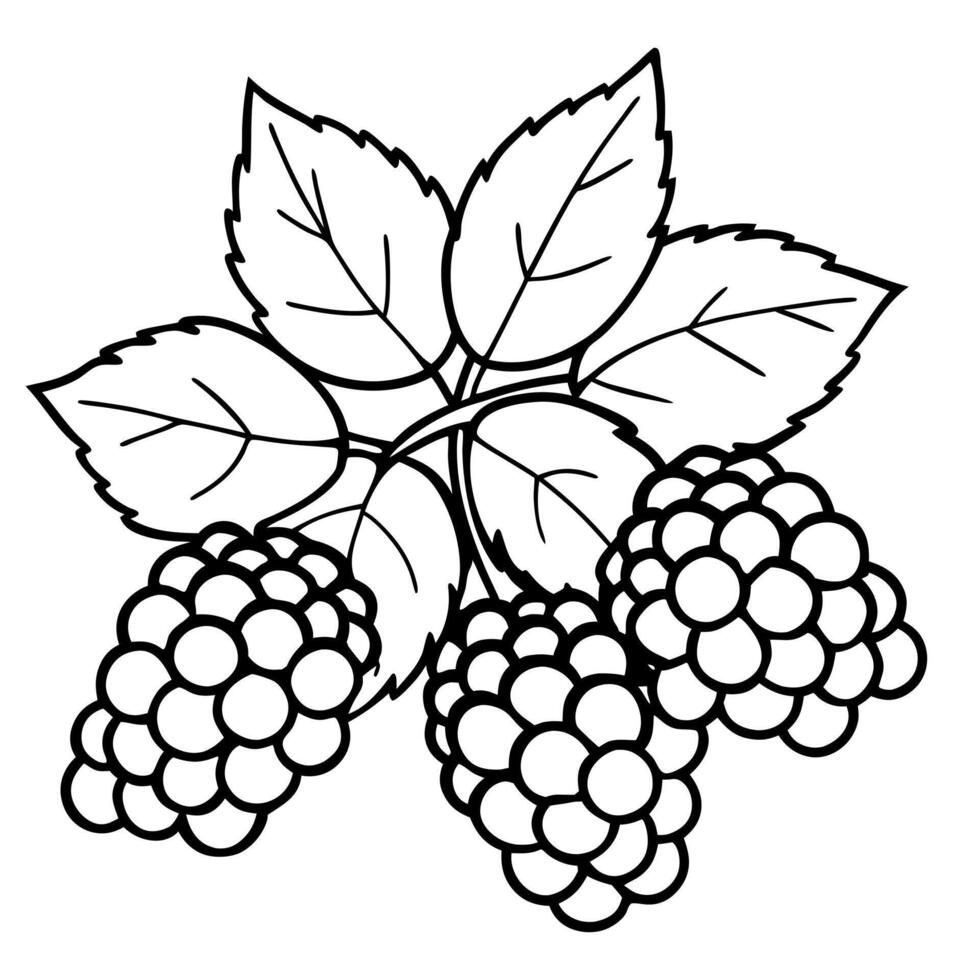 a bush full of ripe blackberries, illustration line art vector