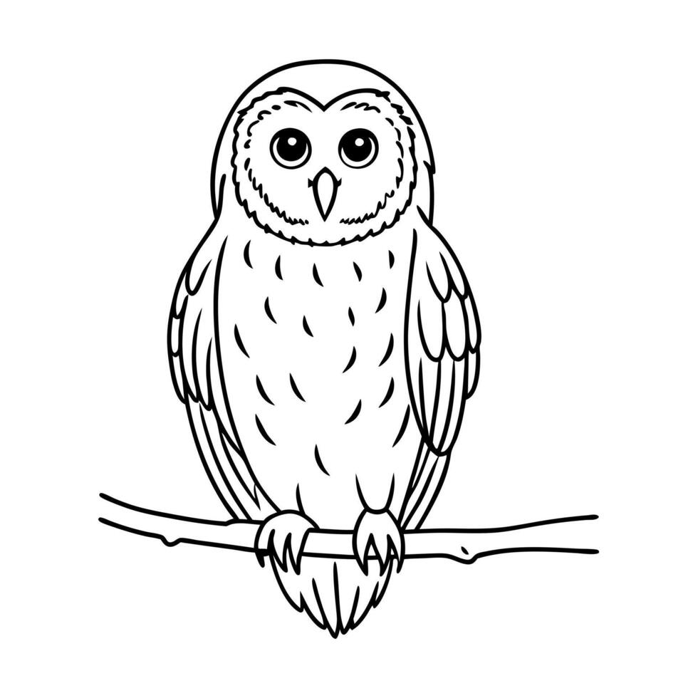 barred owl sitting, illustration line art vector