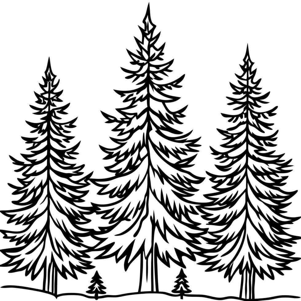 pine trees, illustration line art vector