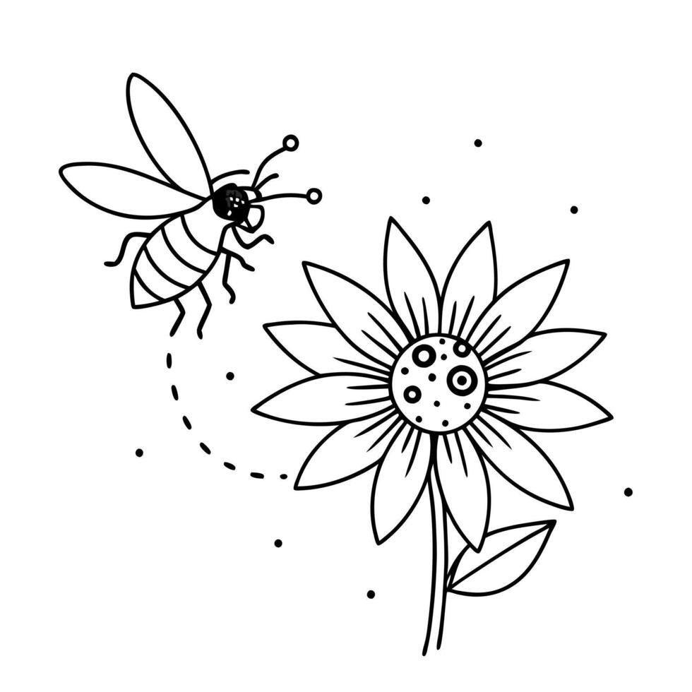 a bee is extracting honey from a passiflora passion flower flower, illustration line art vector