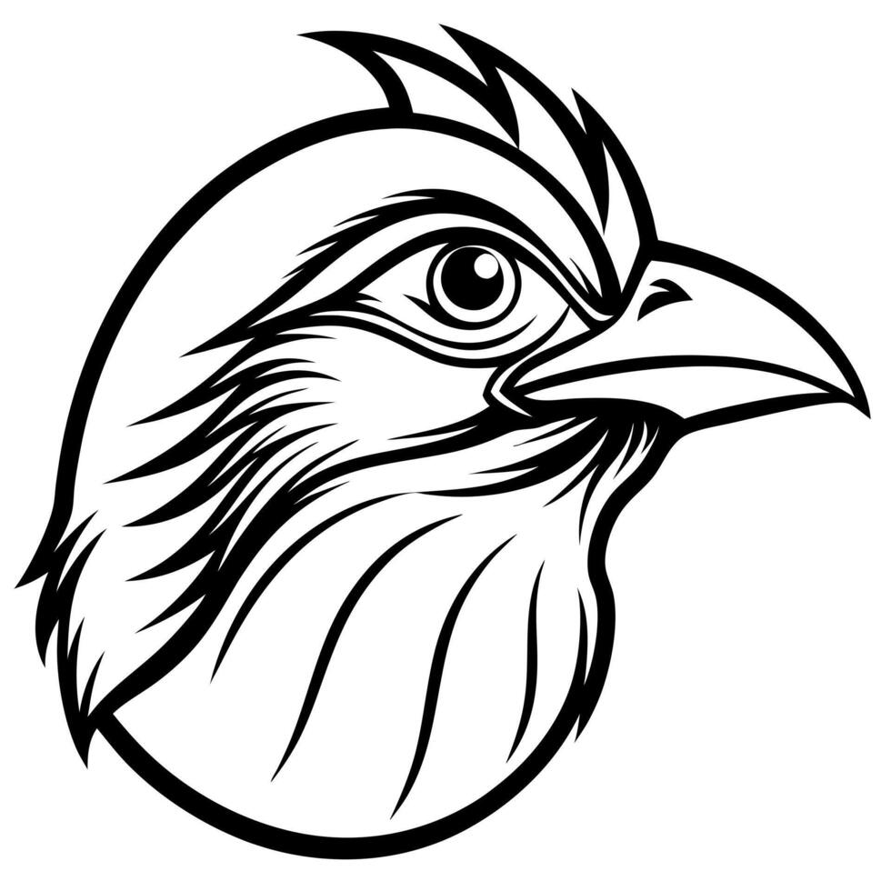 bird head logo silhouette illustration in white background, illustration line art vector