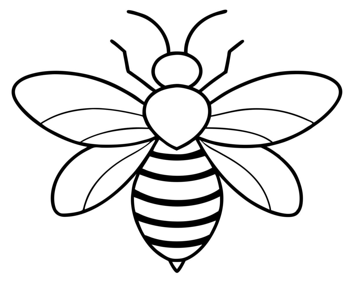 bee, illustration line art vector