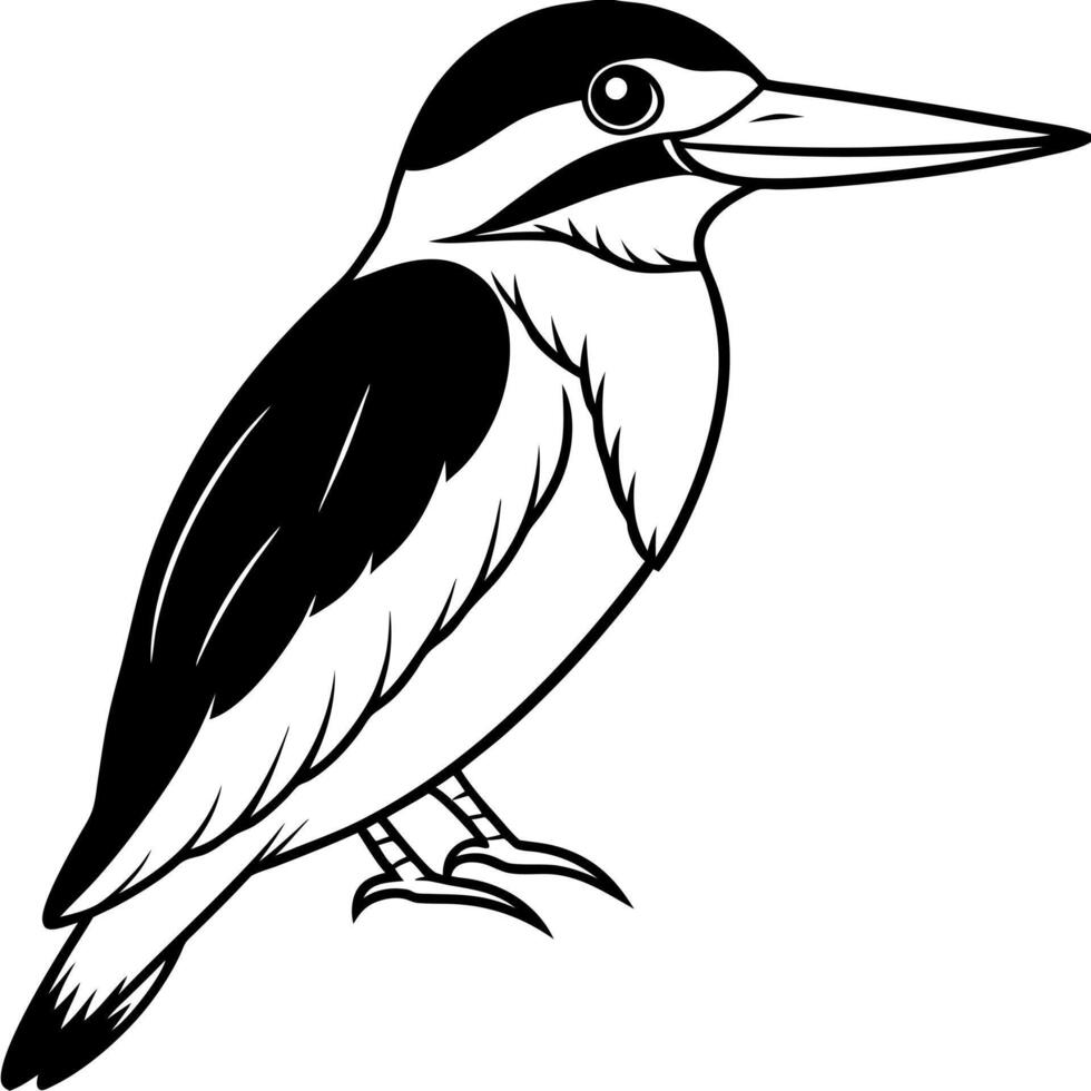 a detailed illustration of a kingfisher bird, illustration line art vector