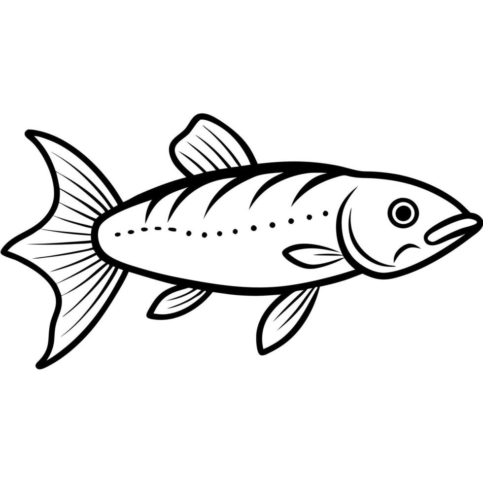 bangladeshi uncommon fish batashi pseudambassis ranga, illustration line art vector