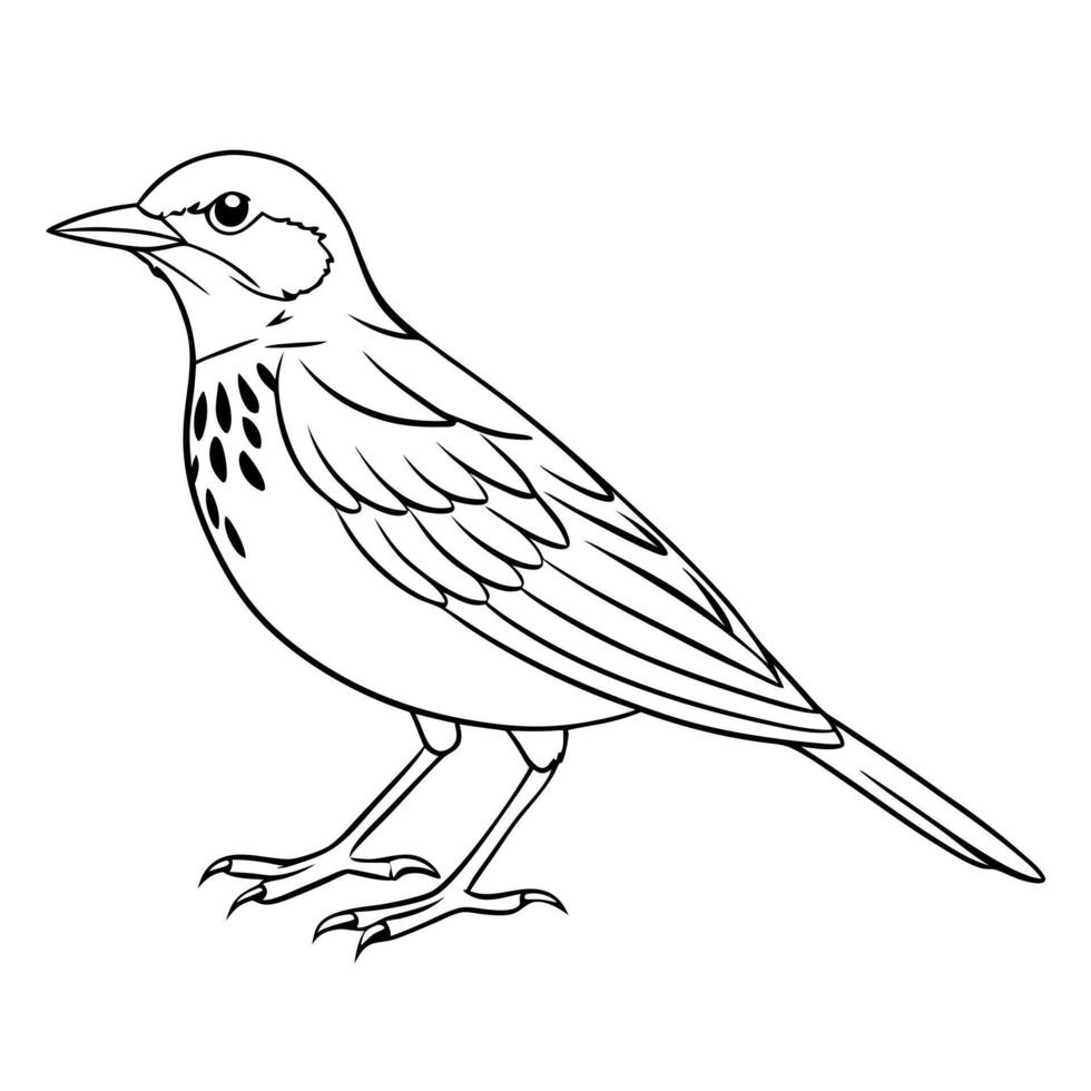 Bird coloring pages for kids vector
