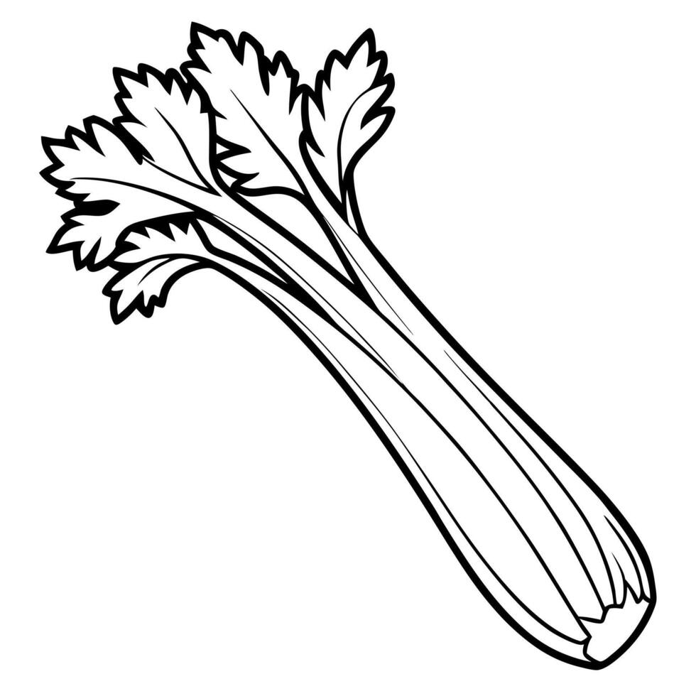 A celery root is outlined in black and white vector