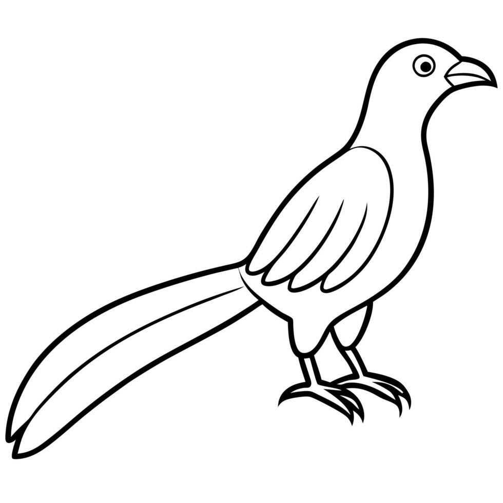 A bird coloring page with a black and white outline vector