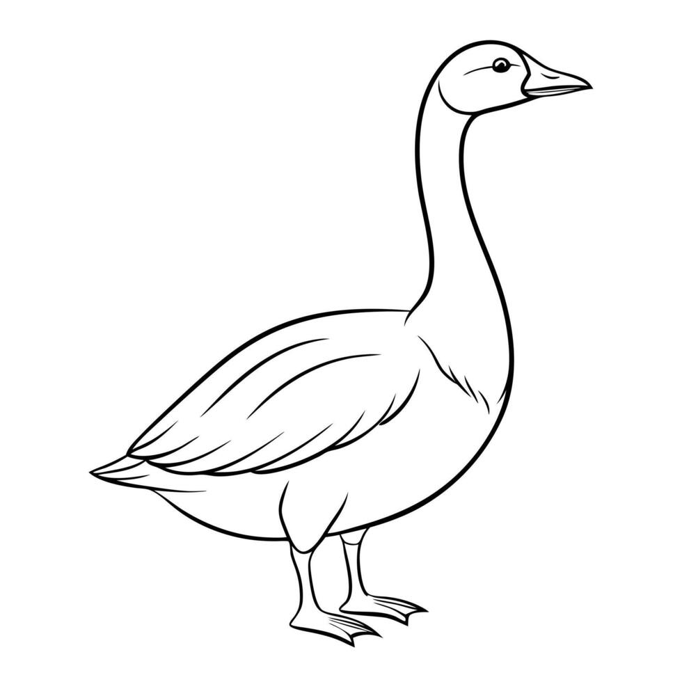 A goose is standing in a line drawing vector