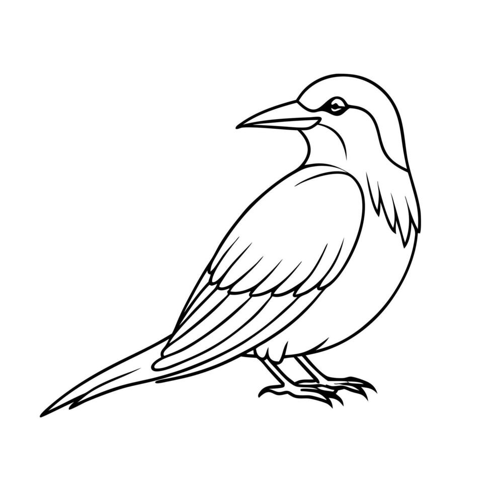 Bird coloring pages for kids vector