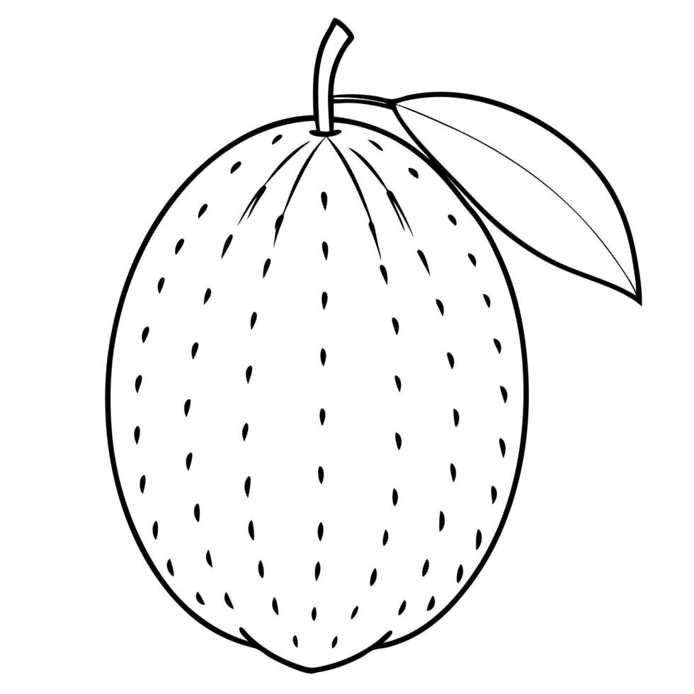 An outline drawing of a mango vector