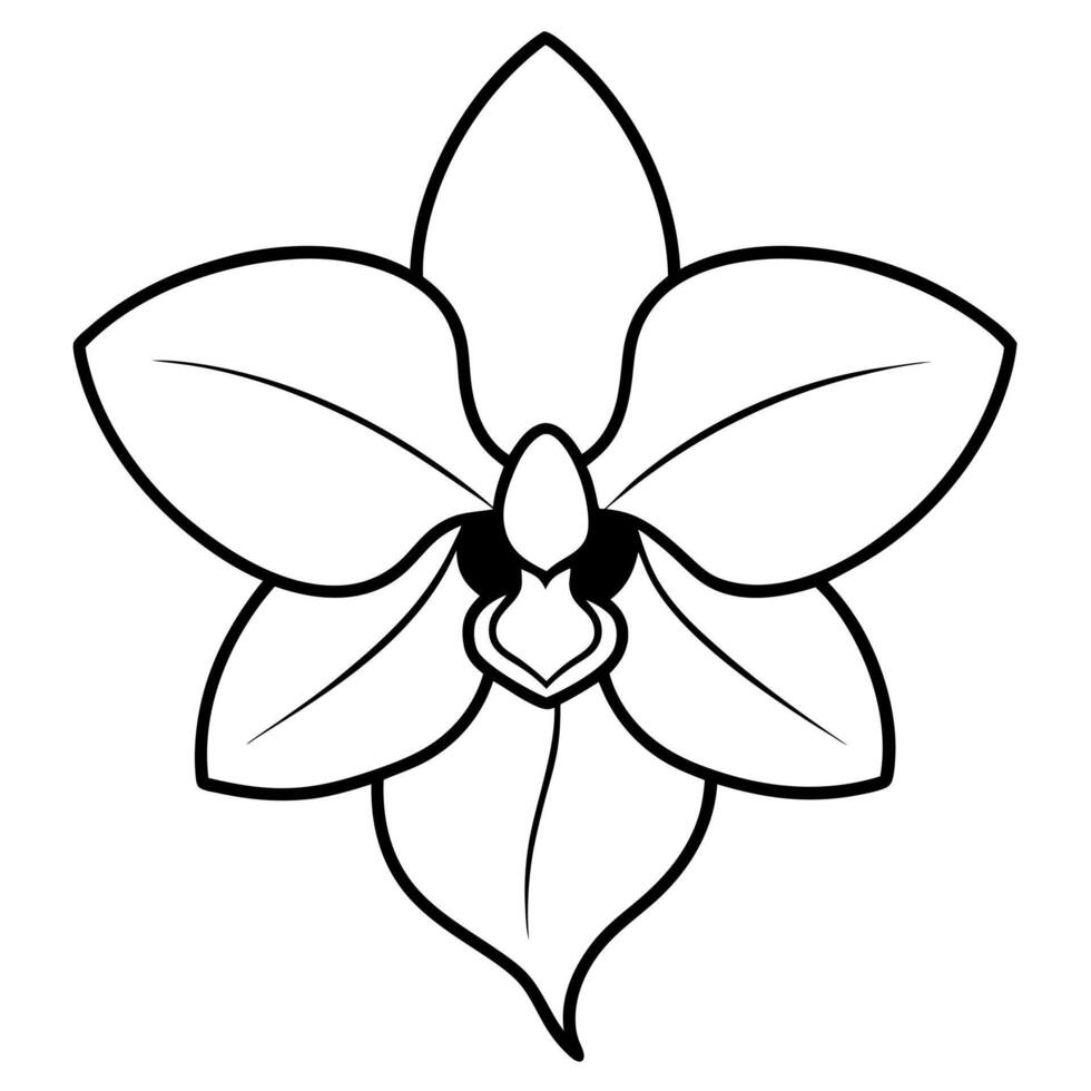 A black and white drawing of a flower vector
