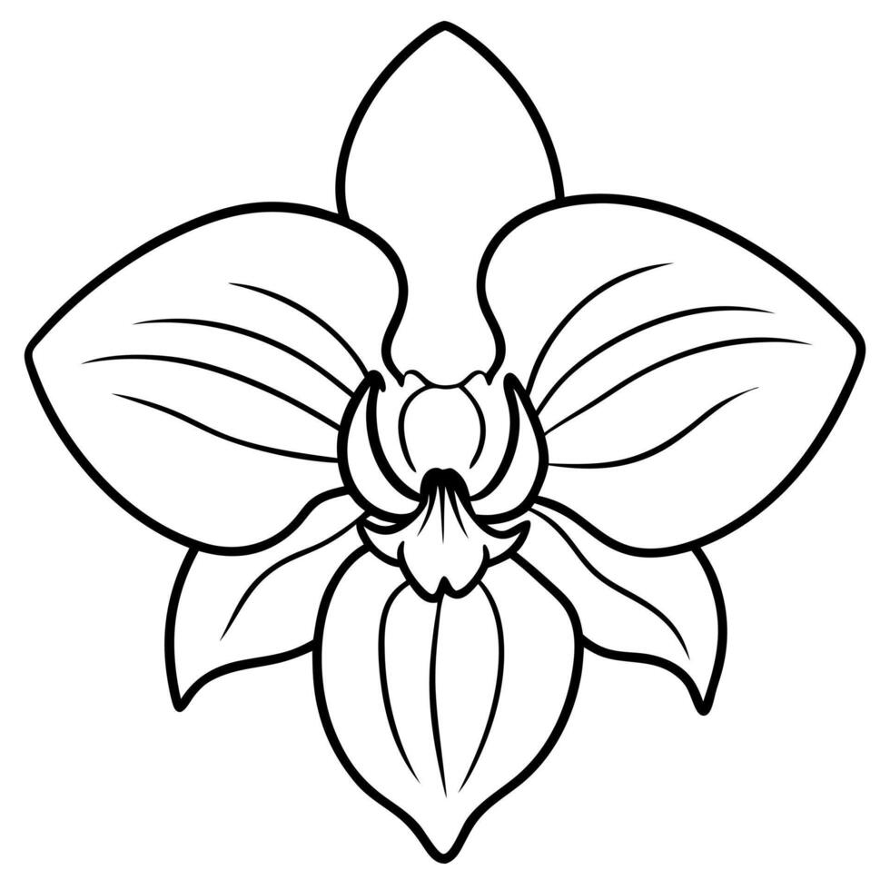 A black and white orchid flower coloring page vector