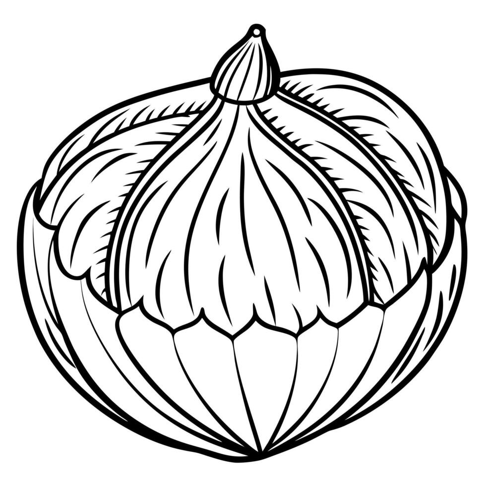A black and white drawing of a garlic bulb vector