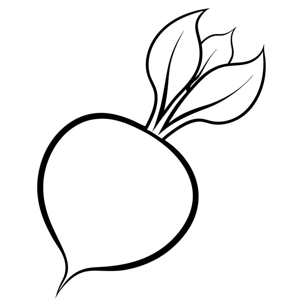 A black and white drawing of a beet vector