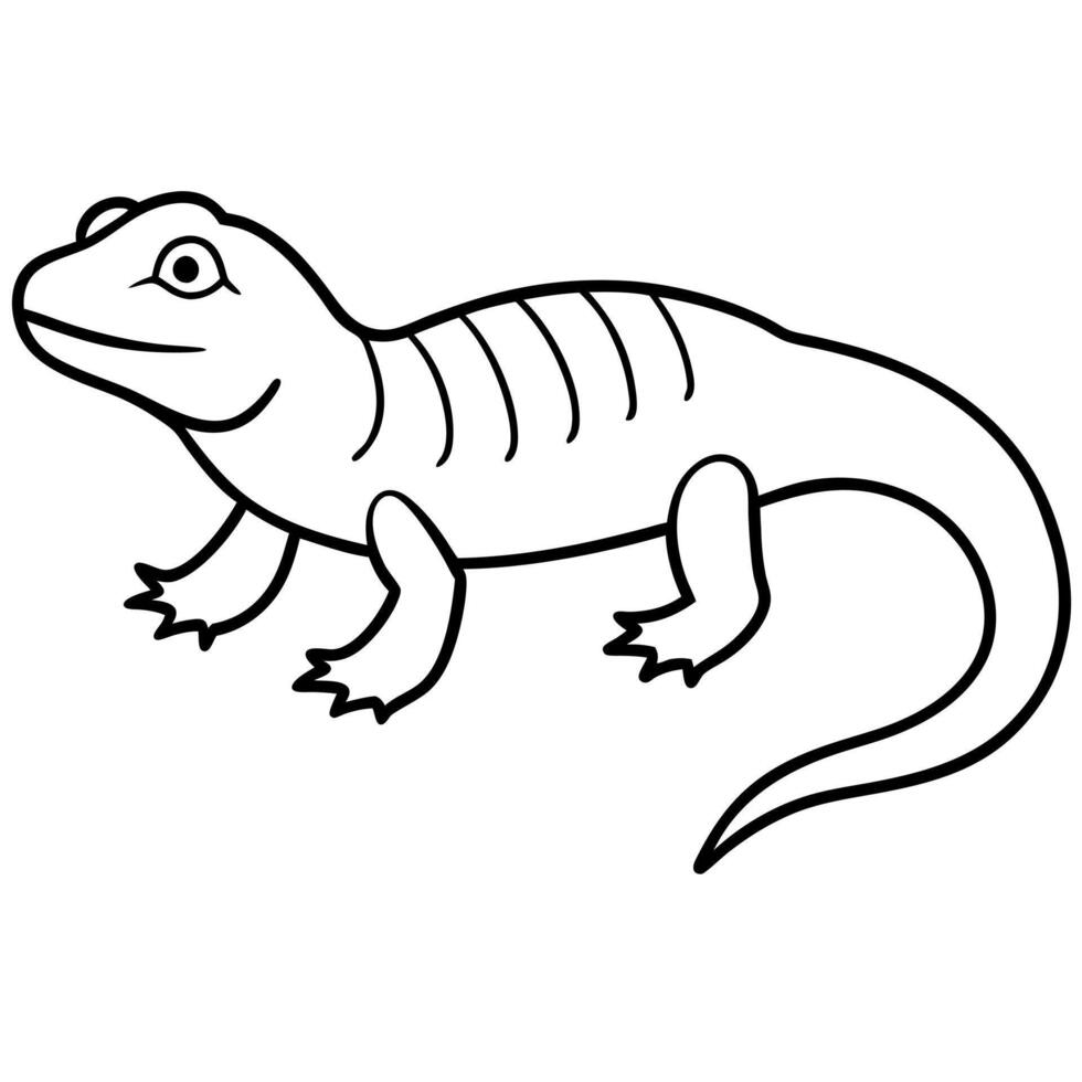 A lizard coloring page for kids vector