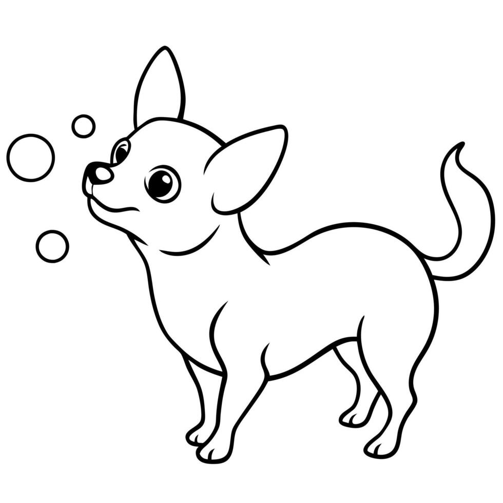 Chihuahua coloring pages vector
