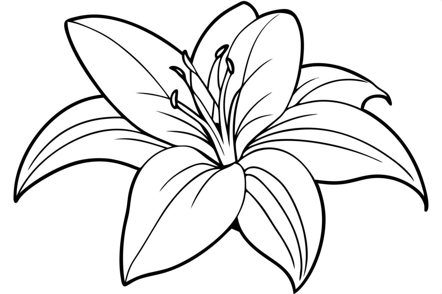 Lily coloring pages for kids 51003863 Vector Art at Vecteezy