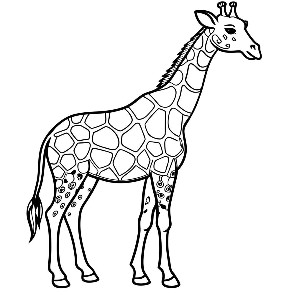 Giraffe coloring pages for kids vector