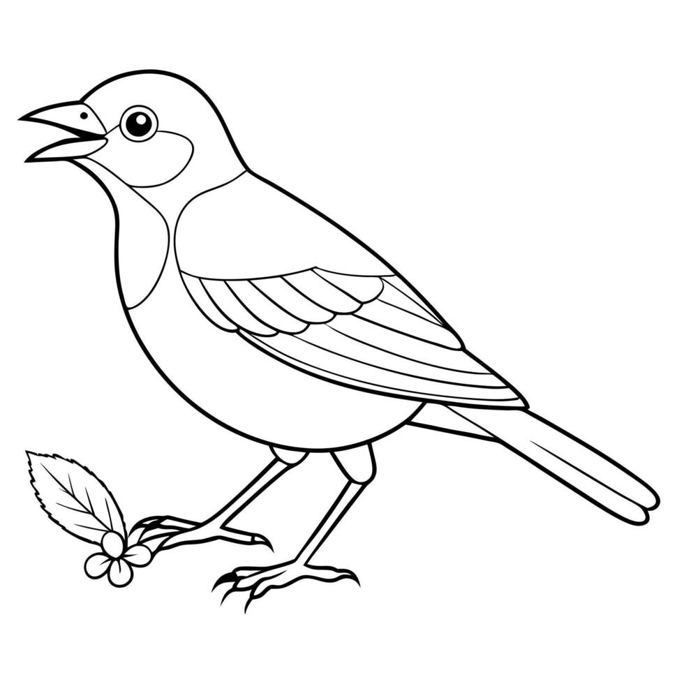 Bird coloring pages for kids vector