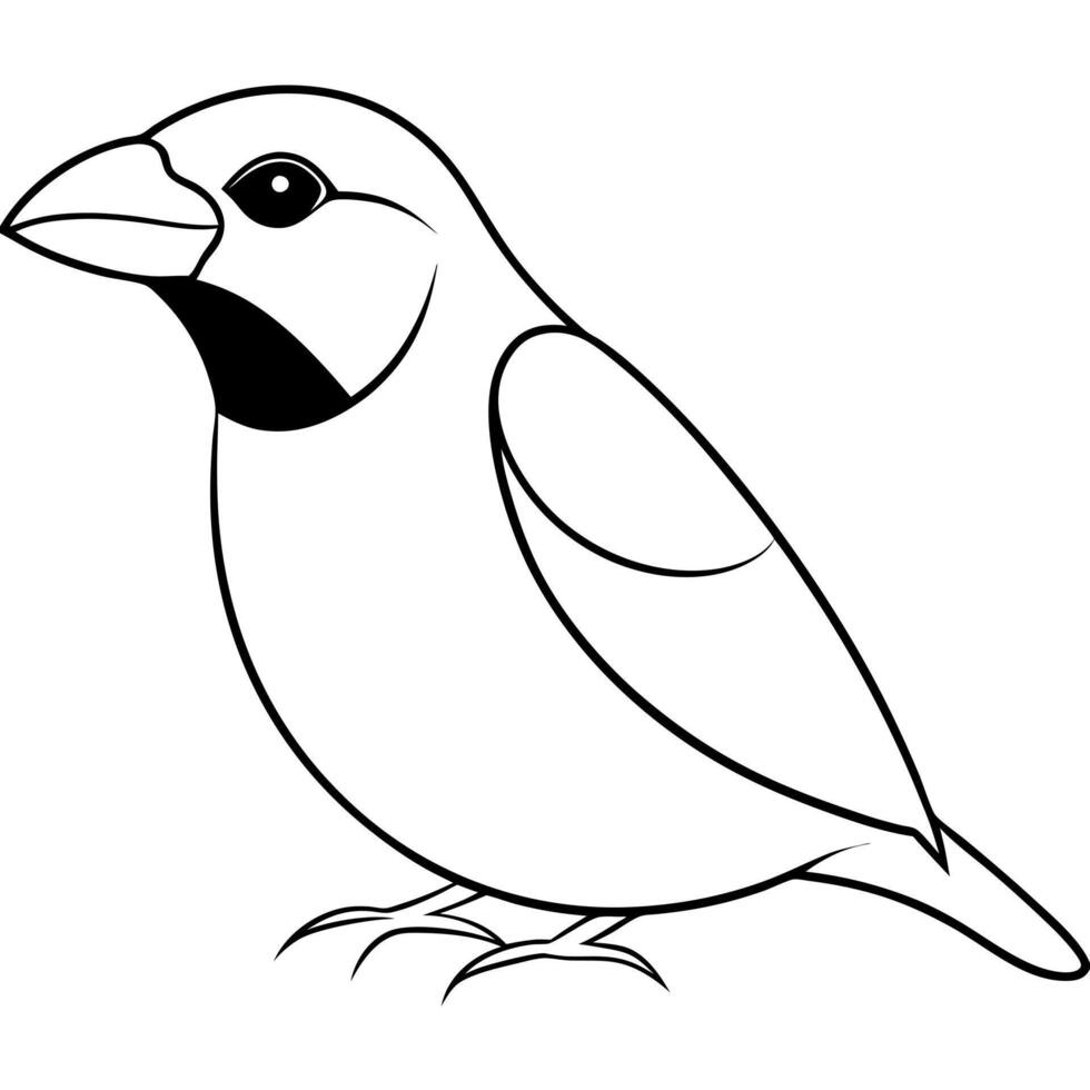 A black and white drawing of a bird vector