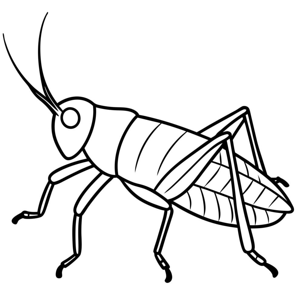 A grasshopper coloring page vector
