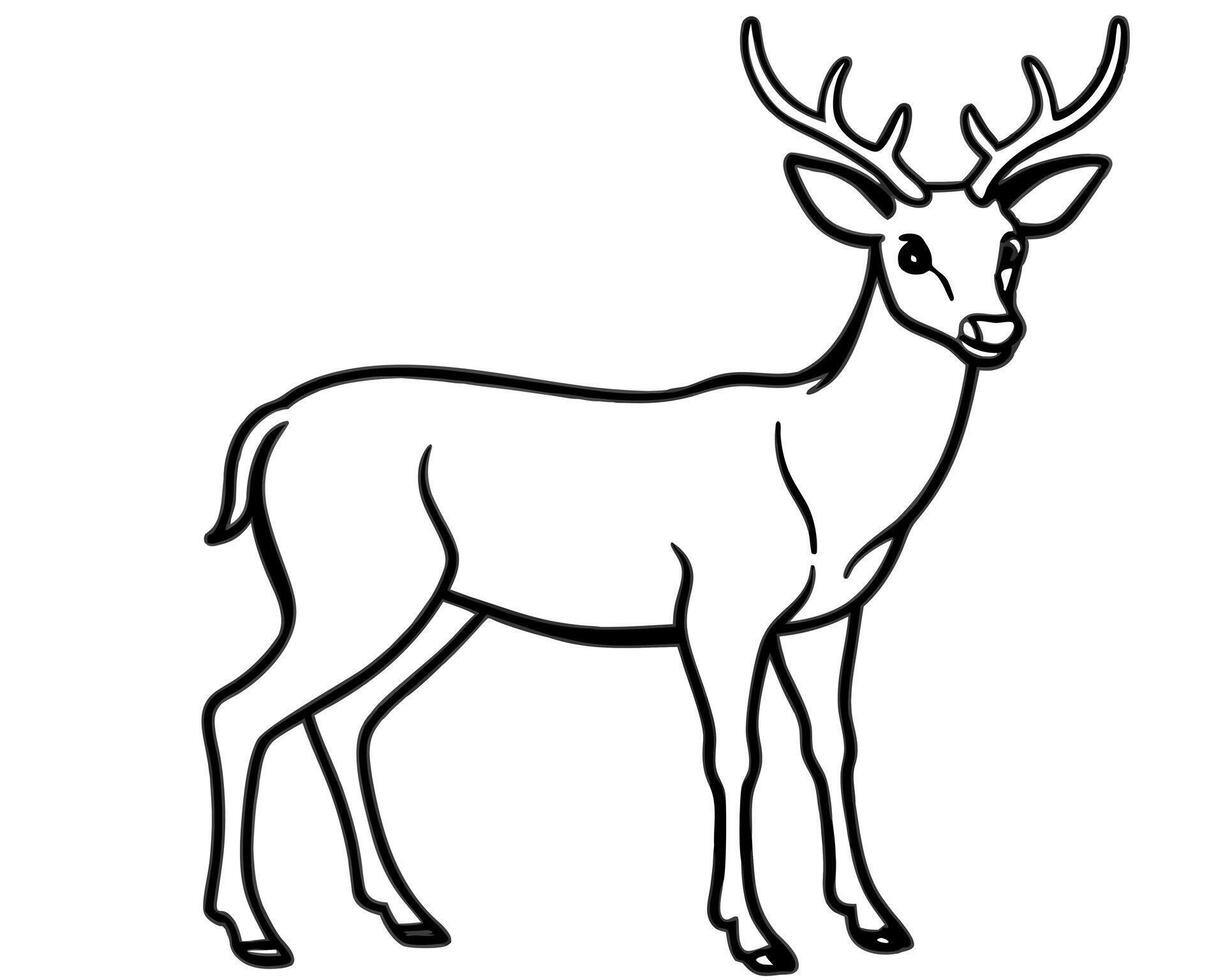Deer coloring pages for kids vector