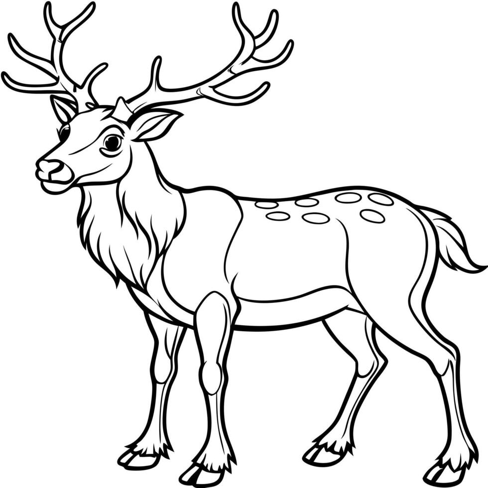 Deer coloring pages for kids vector