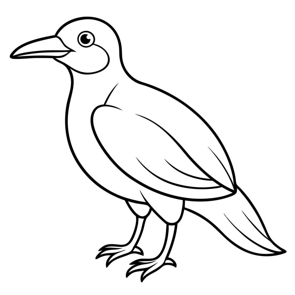 A bird is standing on a white background coloring page vector