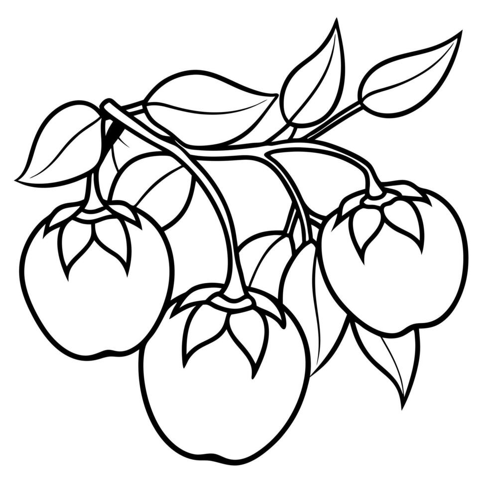 Apple tree with leaves and fruit coloring page vector