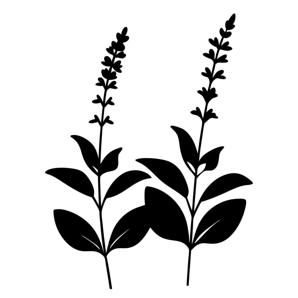 Black and white illustration of a plant with leaves vector