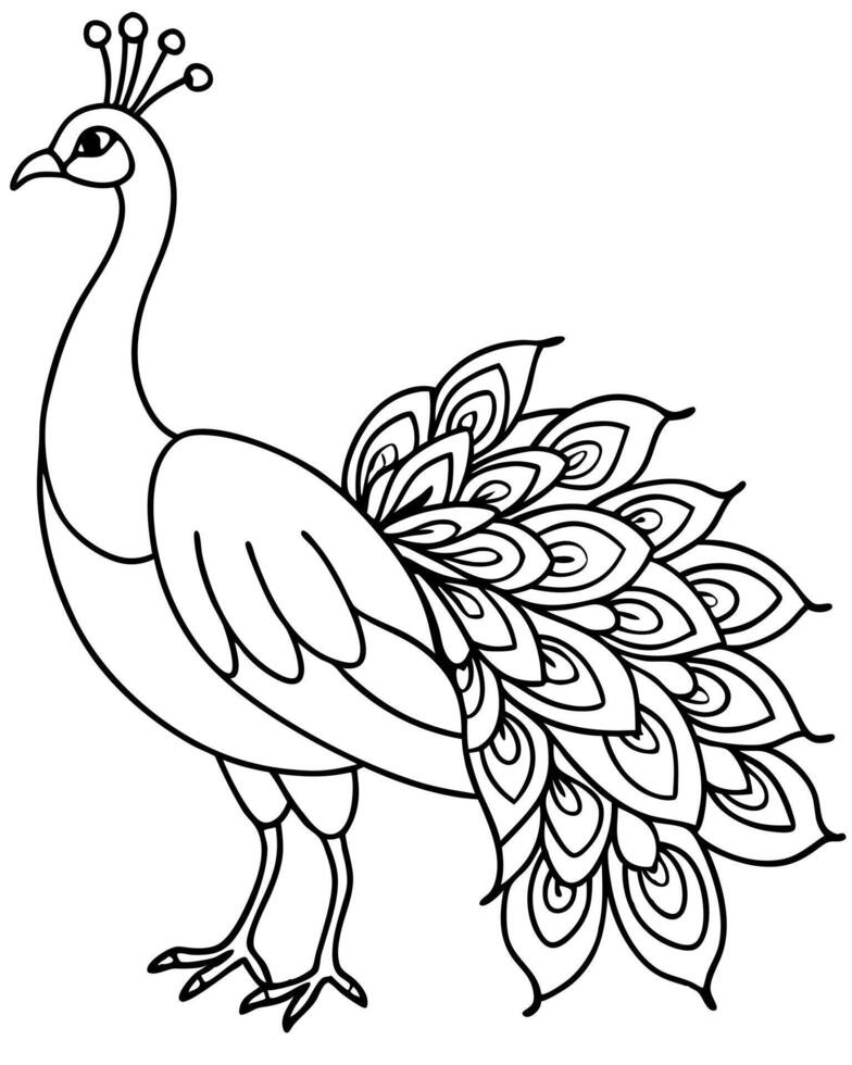 Peacock coloring pages vector