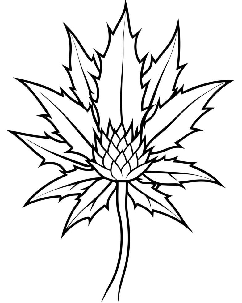 A black and white drawing of a thistle flower vector