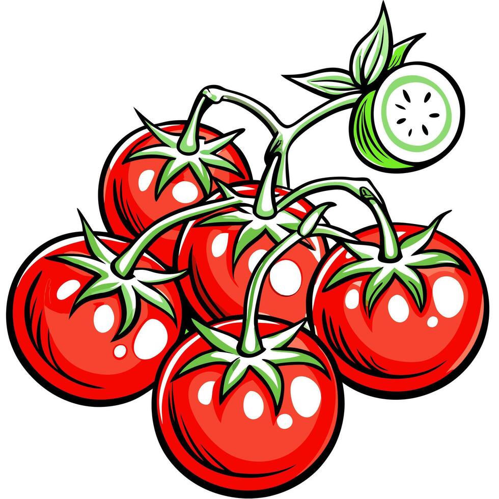 Tomatoes with green leaves and a slice of cucumber vector
