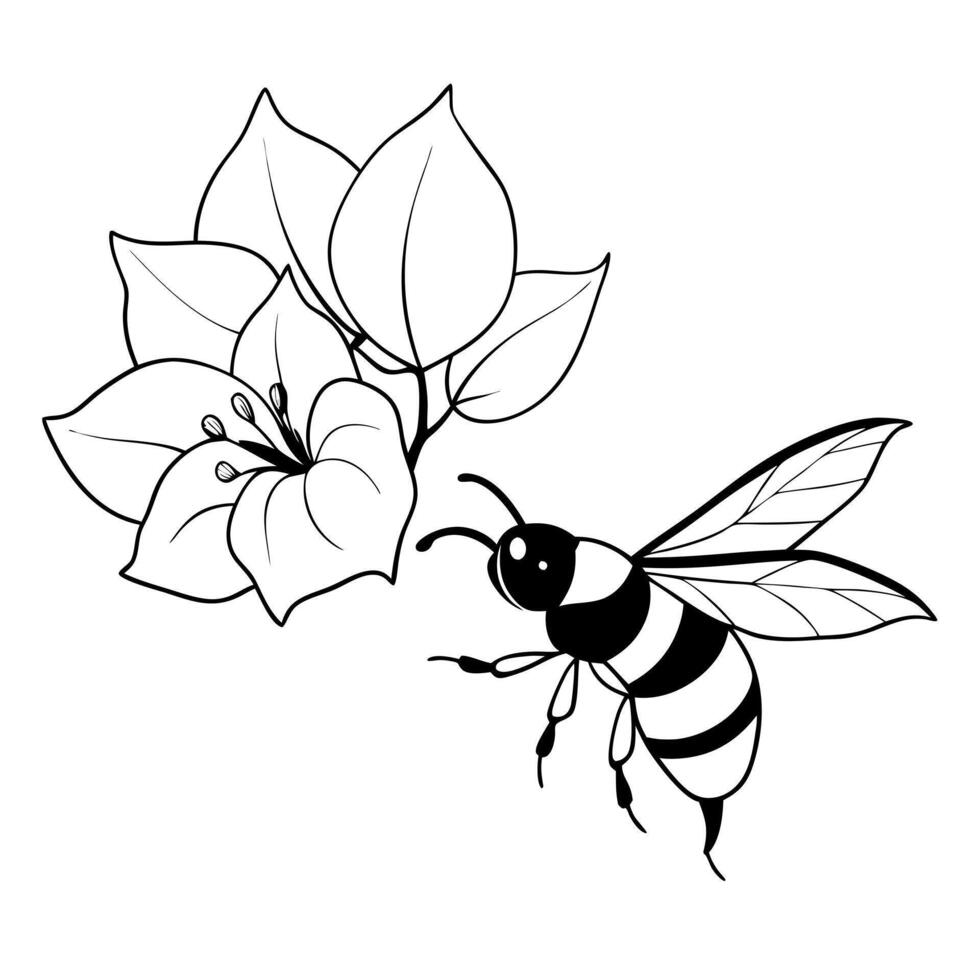 Bee and flower coloring pages vector
