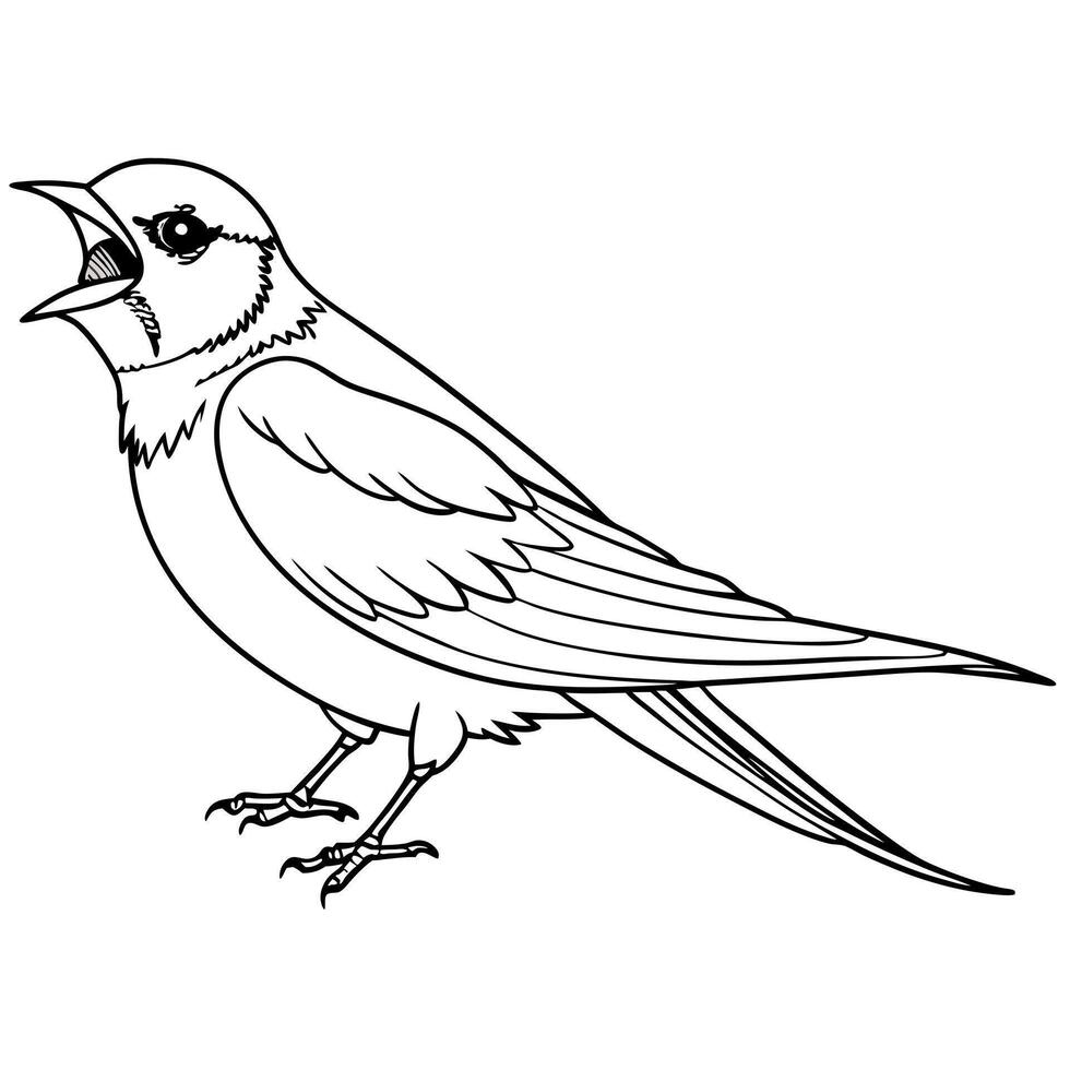 A bird coloring page with a black and white outline vector
