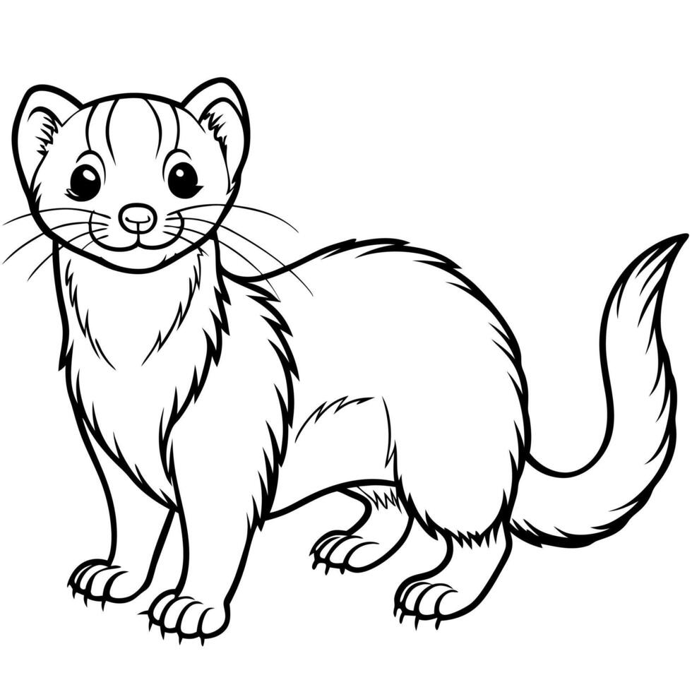 Ferret coloring pages for kids - Ferret Coloring Pages For Kids Vector