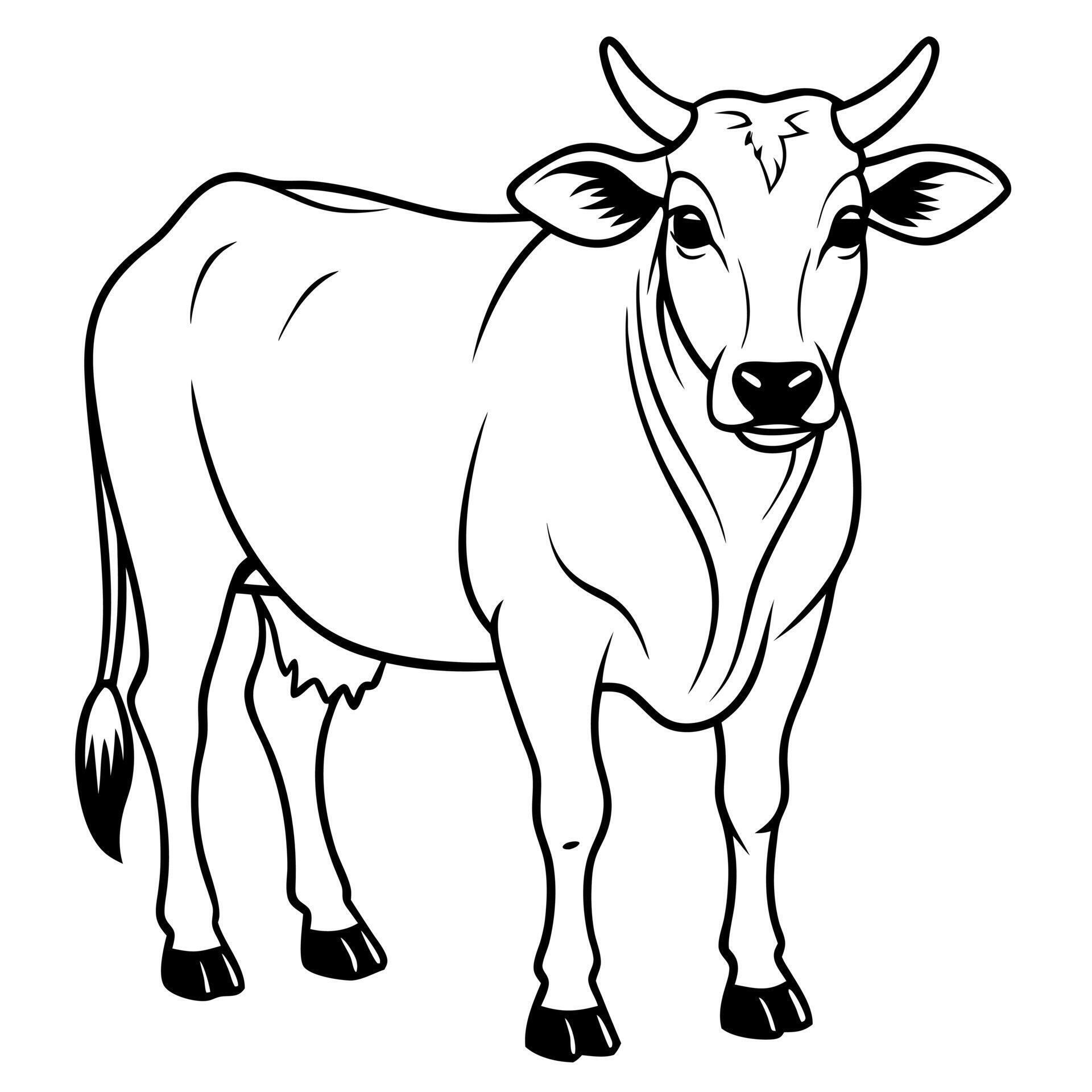 Cow coloring pages free printable cow coloring pages 51004824 Vector