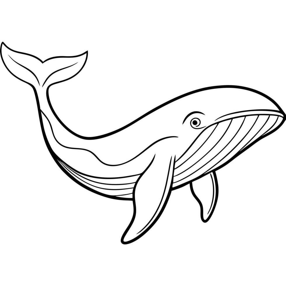 A whale coloring page for kids vector
