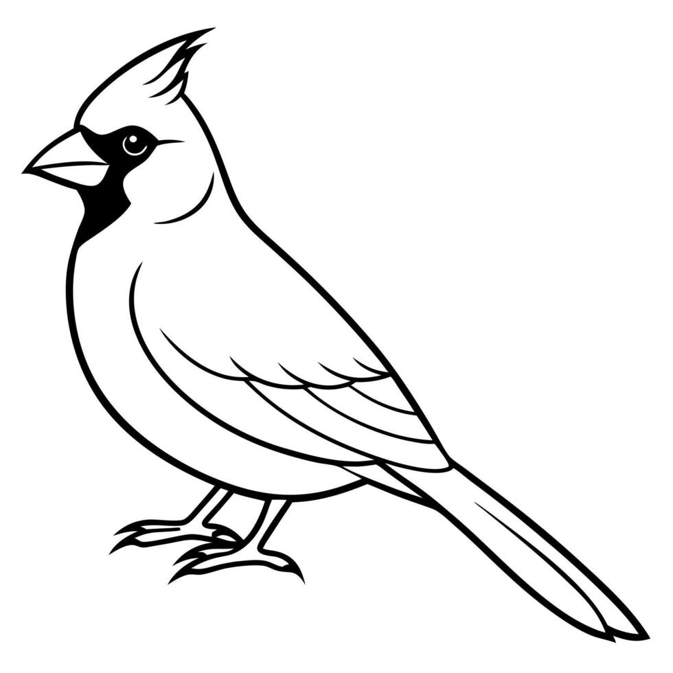 A cardinal bird is standing on its feet coloring page vector