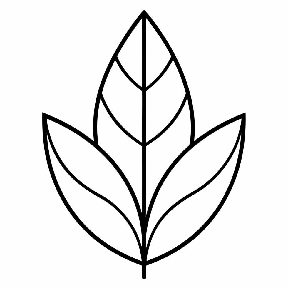 A leaf outline on a white background vector