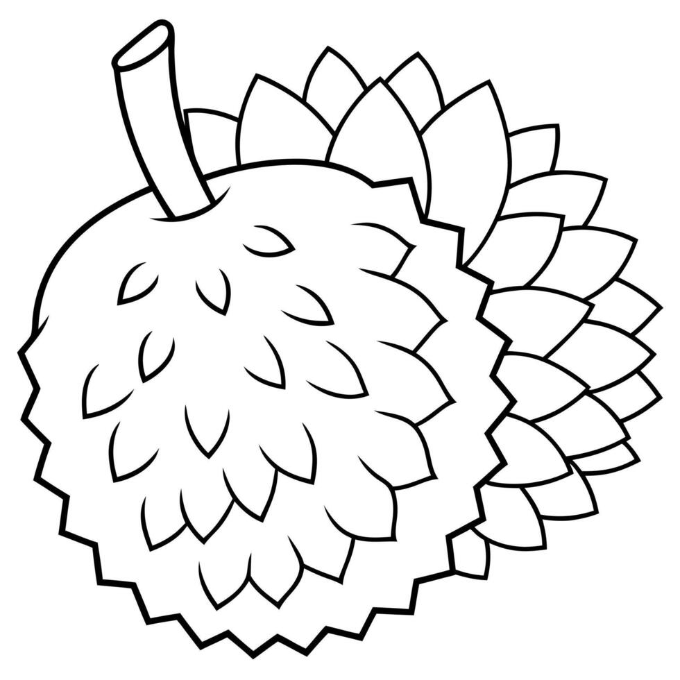 a coloring page of an food durian with no color just black lines, illustration line art vector