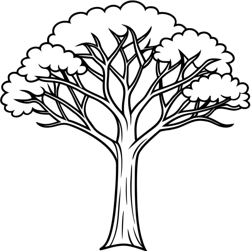 mahogany tree, illustration line art vector