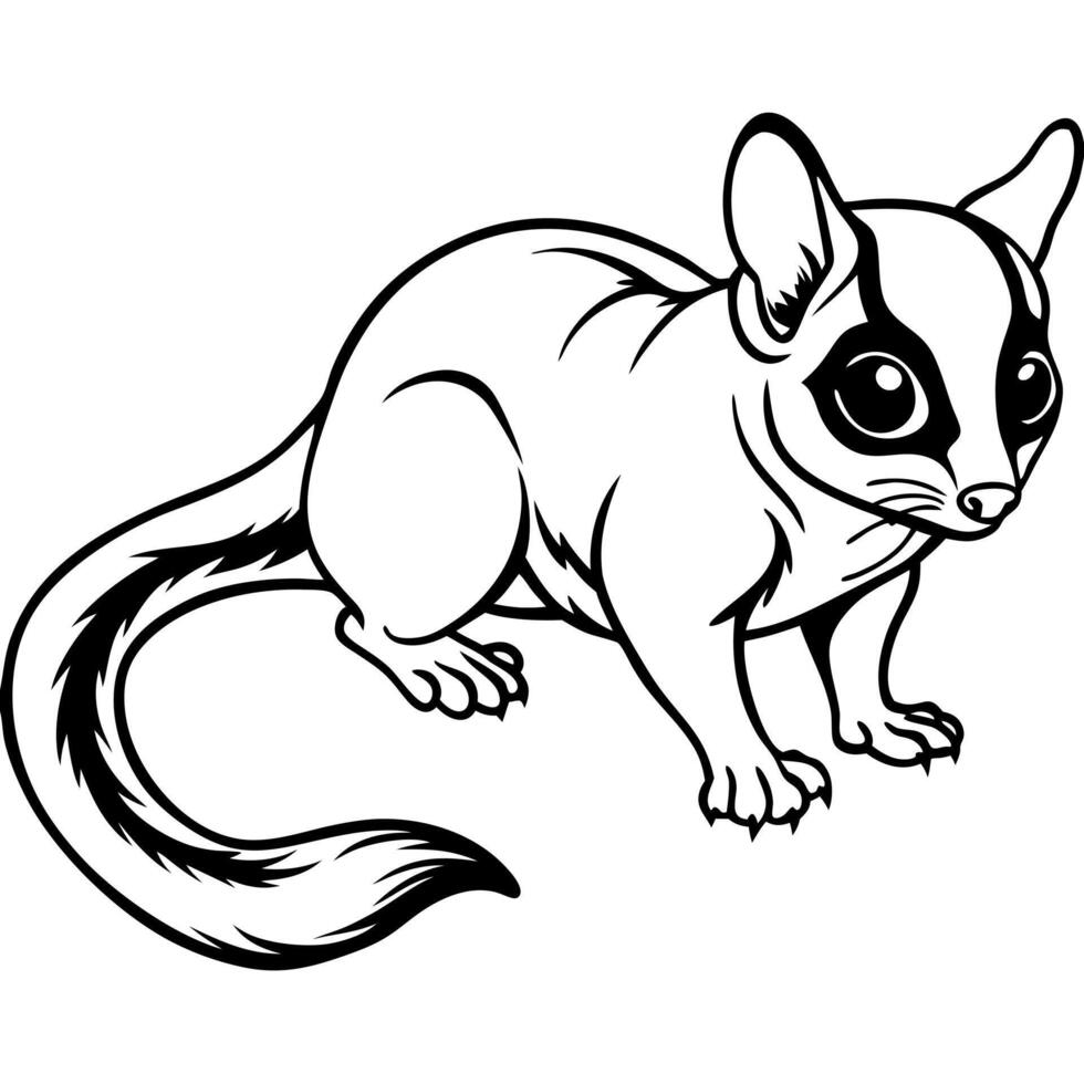 A black and white drawing of a sugar glider vector