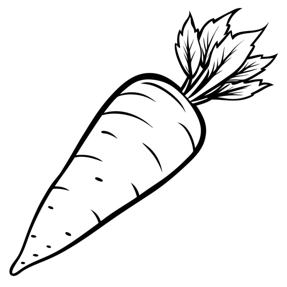 carrot coloring page