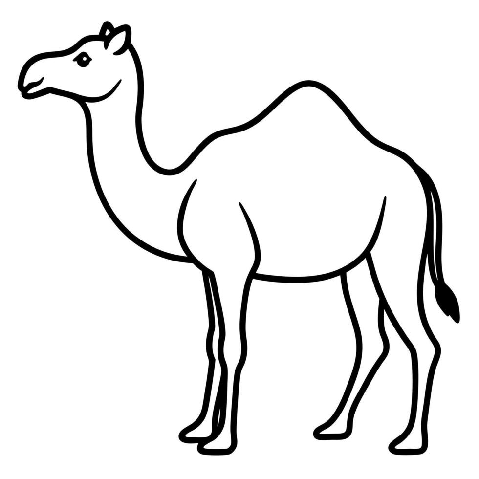 A camel is standing in a line drawing vector