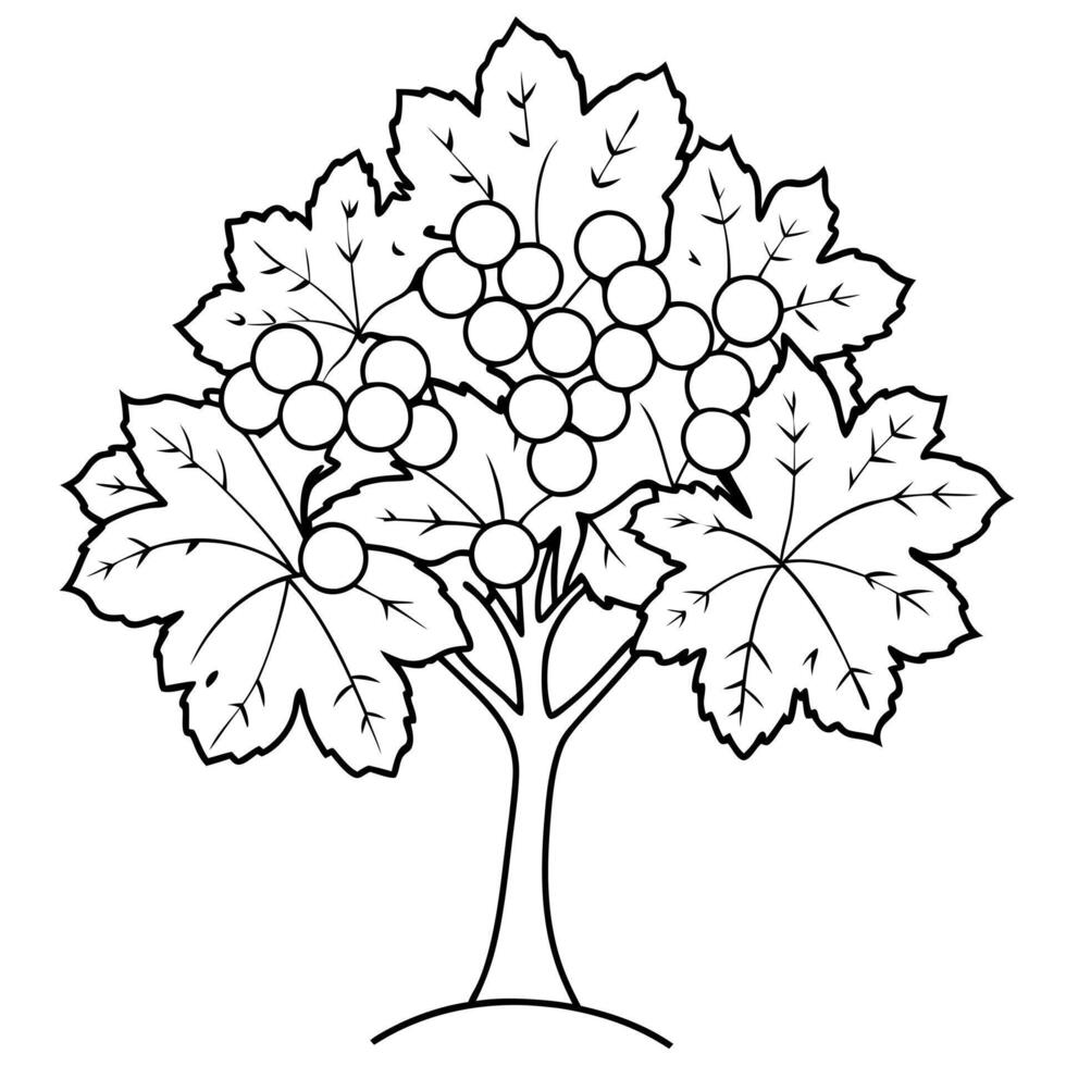 A tree with grapes coloring page vector