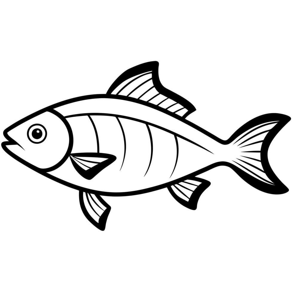 fish , illustration line art vector