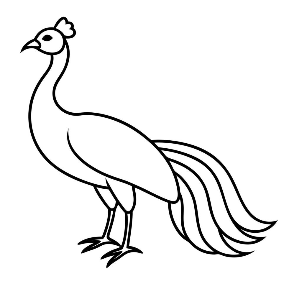 A peacock is standing in a line drawing vector